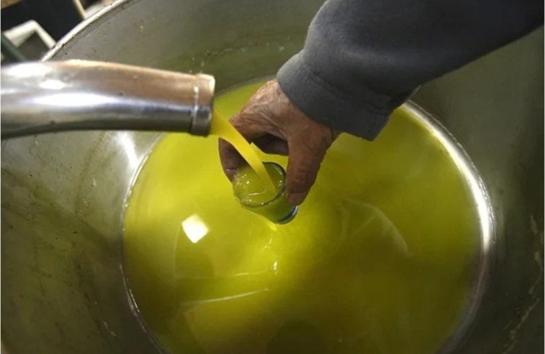 بشرى للأردنيين.. انفراجة قريبة في ملف استيراد زيت الزيتون