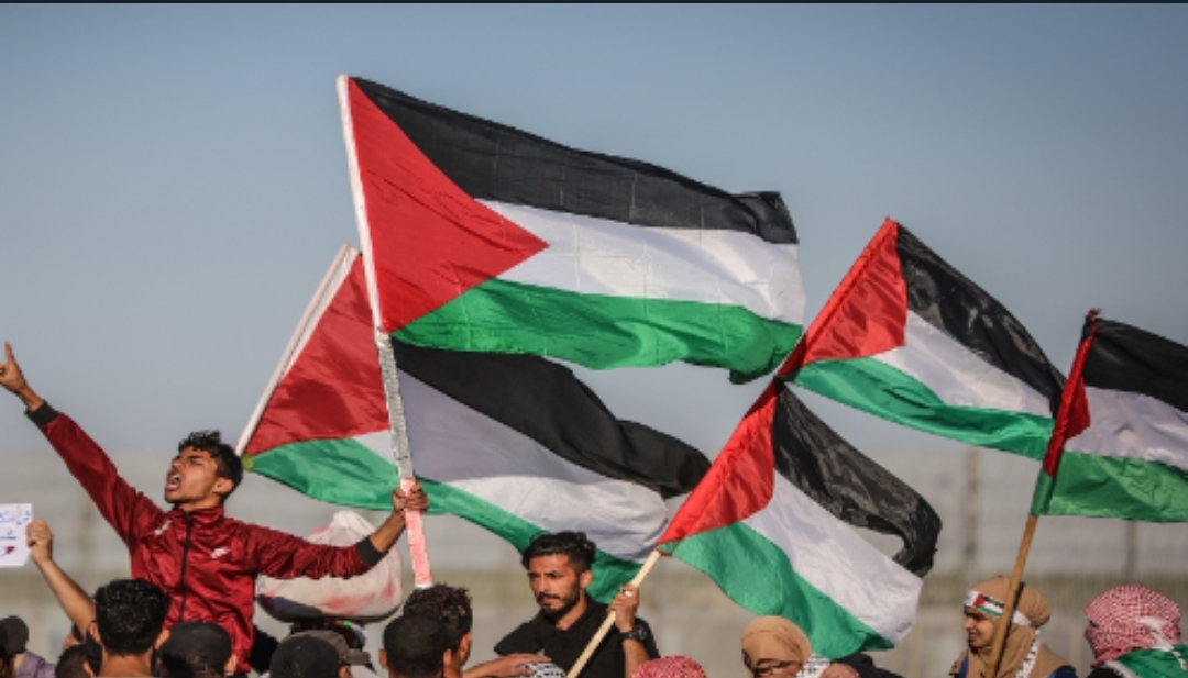 ارتفاع عدد شهداء فلسطين منذ بداية العام إلى 186 شهيدا