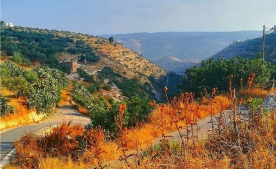 طقس خريفي لطيف الأربعاء وتحذيرات من الغبار شرق المملكة