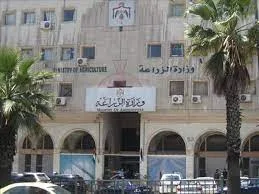 زراعة الرويشد تخصص زراعة 20 دونما لمشروع التحريج الوطني