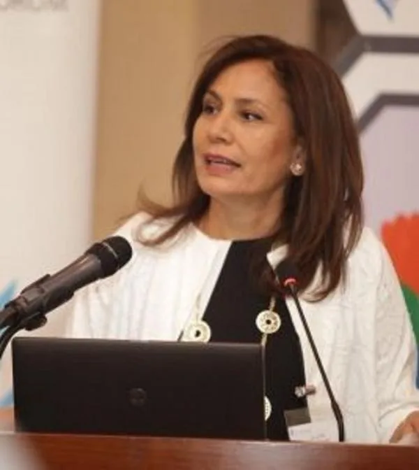زواتي: 1270 ميغاواط كهرباء من الطاقة المتجددة قيد التنفيذ