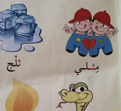 وزير التربية يوضح حول صورة (مثلي)