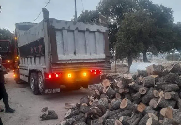 ضبط مركبة محملة بسبعة أطنان من الحطب باربد