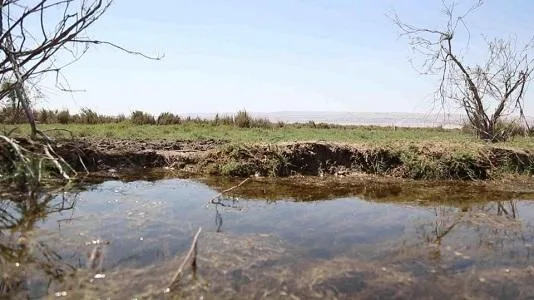 بيان من البوتاس بشأن محمية فيفا