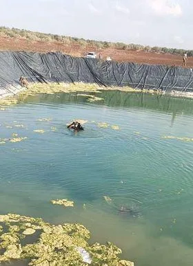وفاة شاب أردني غرقاً داخل بركة في الرمثا