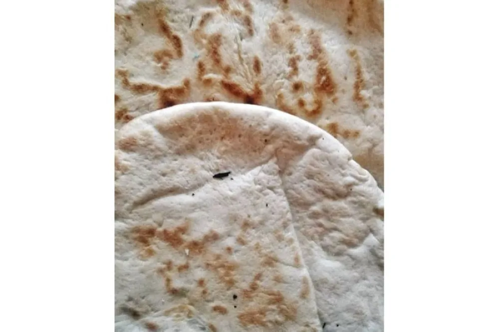 بكتيريا وقطع خشبية مختلطة في احد مخابز السلط