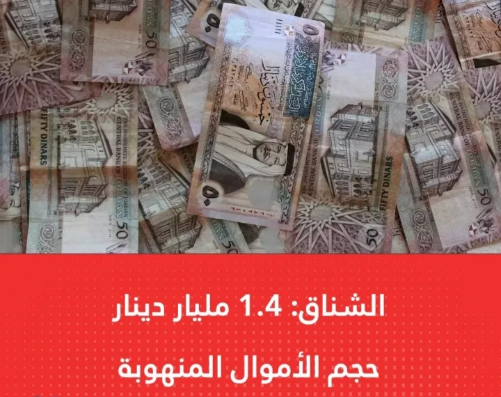 الشناق: 1.4 مليار دينار حجم الأموال المنهوبة