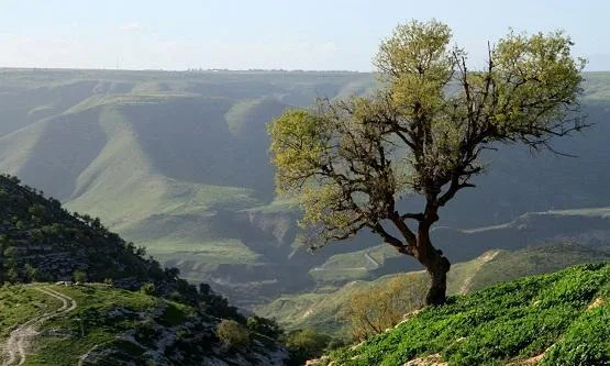 طقس ربيعي دافئ