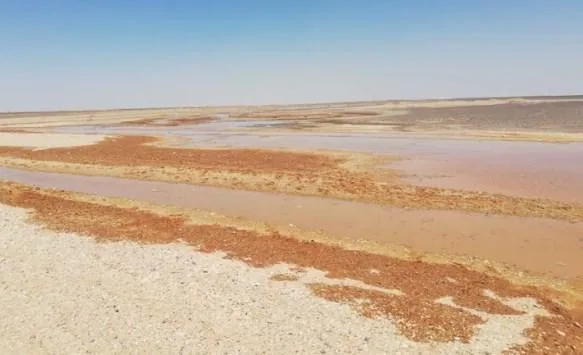 اعتداء يوقف الديسي لعمّان والزرقاء والشمال