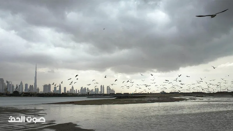الأرصاد: انخفاض الجمعة وارتفاع تدريجي يبدأ من السبت مصحوباً بسحب رعدية بالبادية