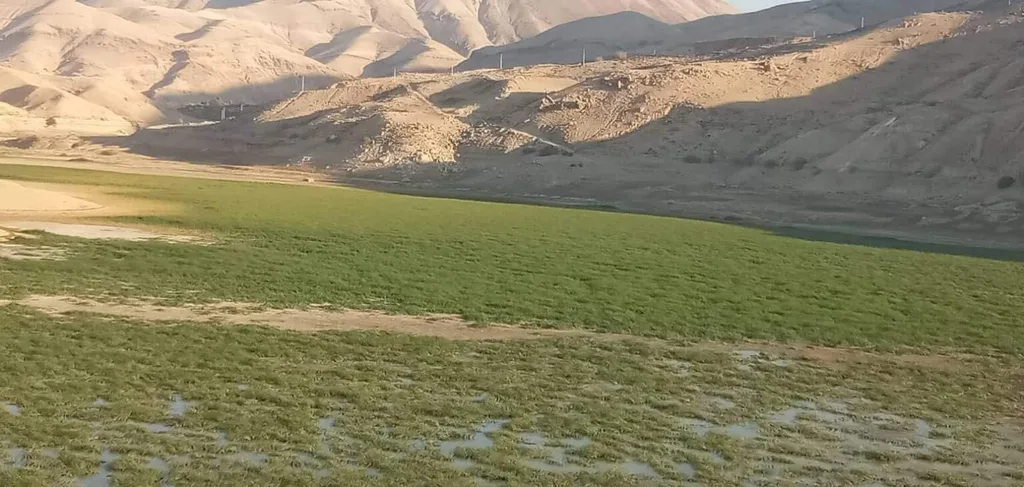 المياه: سدّا الموجب والواله شبه جافين