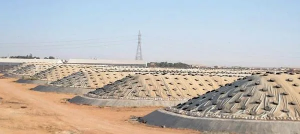 البنك الدولي: الأردن غير معرض لأزمة أمن غذائي