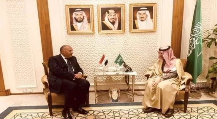 ابحث السعودية تجدد مساندتها لمصر في الحفاظ على حقوقها المائية