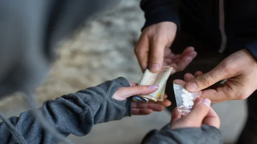 القبض على 245 شخصا من تجار ومروجي مواد مخدرة خلال أسبوع