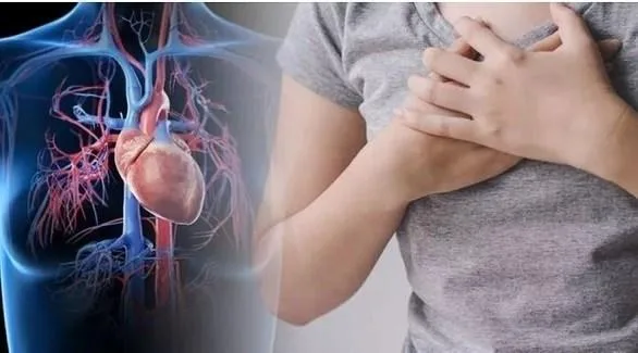 ما علاقة الشوكولاتة بأمراض القلب؟