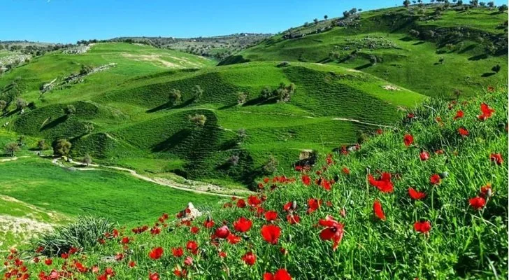 أجواء معتدلة الى دافئة في جميع المناطق حتى الثلاثاء