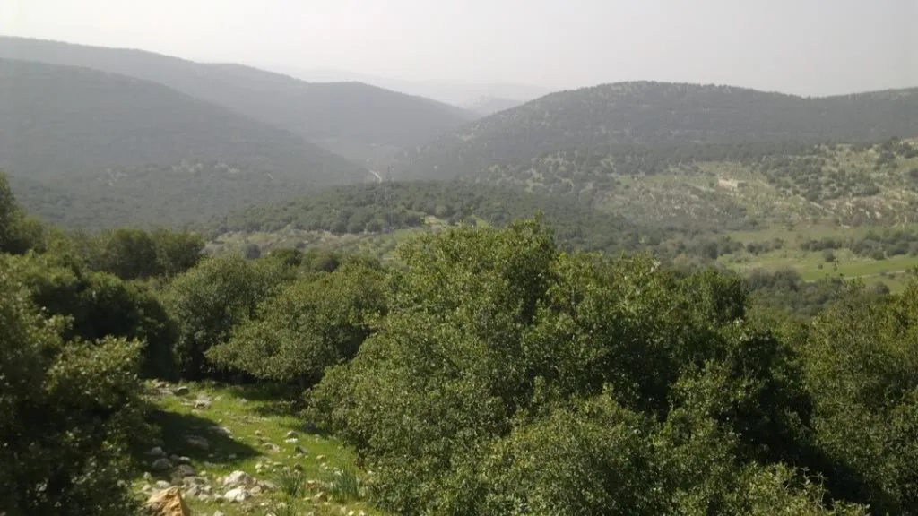 العثور على جثة عشريني في إربد