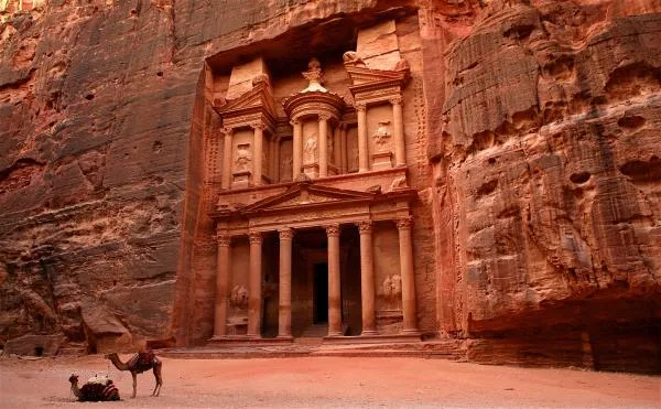 الأمن العام يتبرع بـ 4 خيول لجوالة البترا