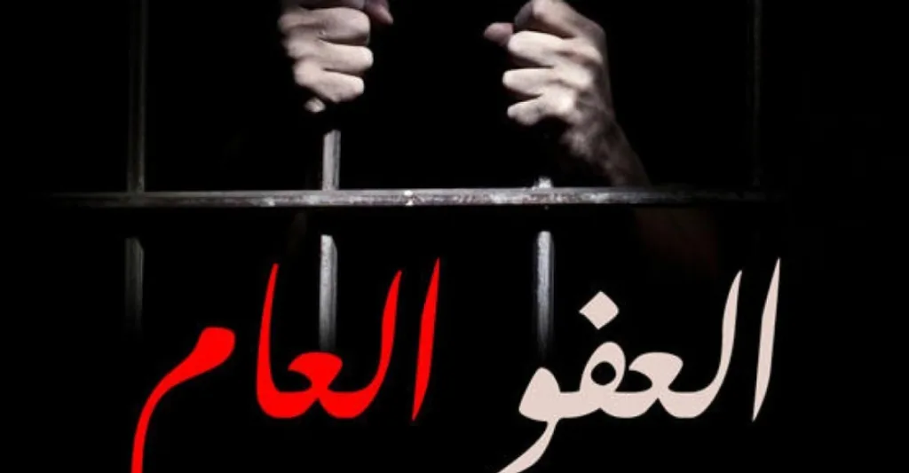 الفايز: لم نبلغ عن اي قرار بخصوص العفو العام