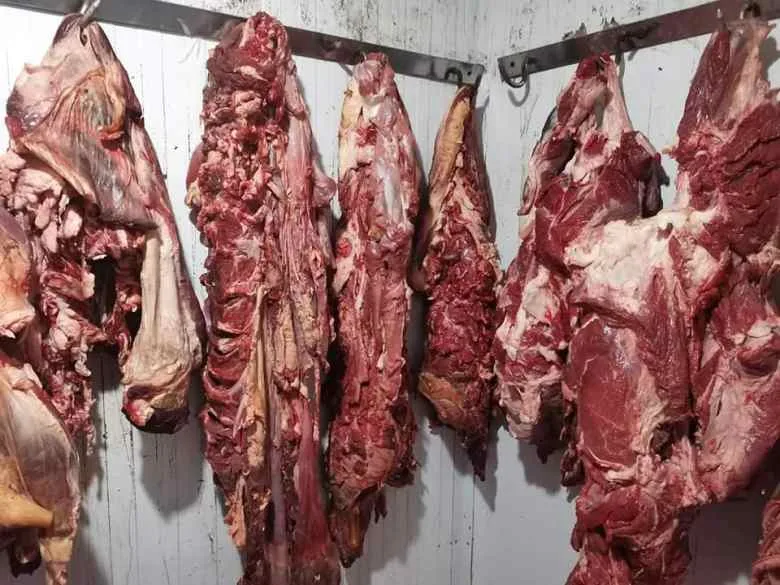 أمانة عمّان تتلف 7 أطنان لحوم وتضبط آلاف الليترات من العصائر الفاسدة