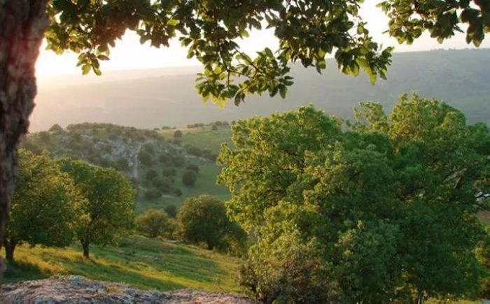 الأربعاء..أجواء معتدلة في أغلب مناطق المملكة