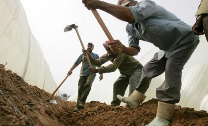 العمال: إصابة عمل كل 37 دقيقة ووفاة كل يومين