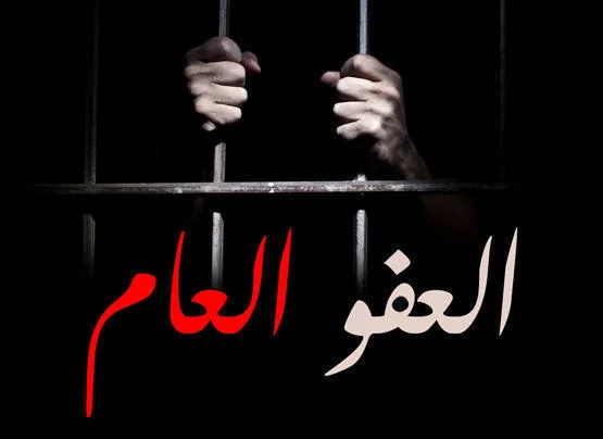 النائب الفايز: قانون العفو العام على طاولة الحكومة