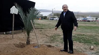 نتنياهو يزرع شجرة في غور الأردن