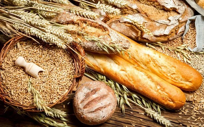الصناعة والتجارة: مخزون الأردن من القمح يكفي 13 شهرا