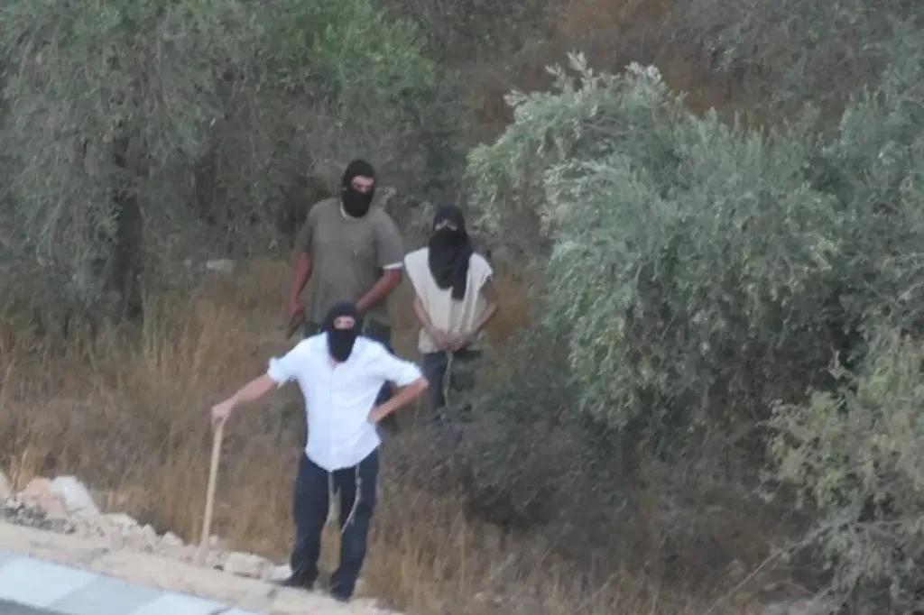 هيئة فلسطينية: موسم قطف الزيتون هذا العام هو الأصعب